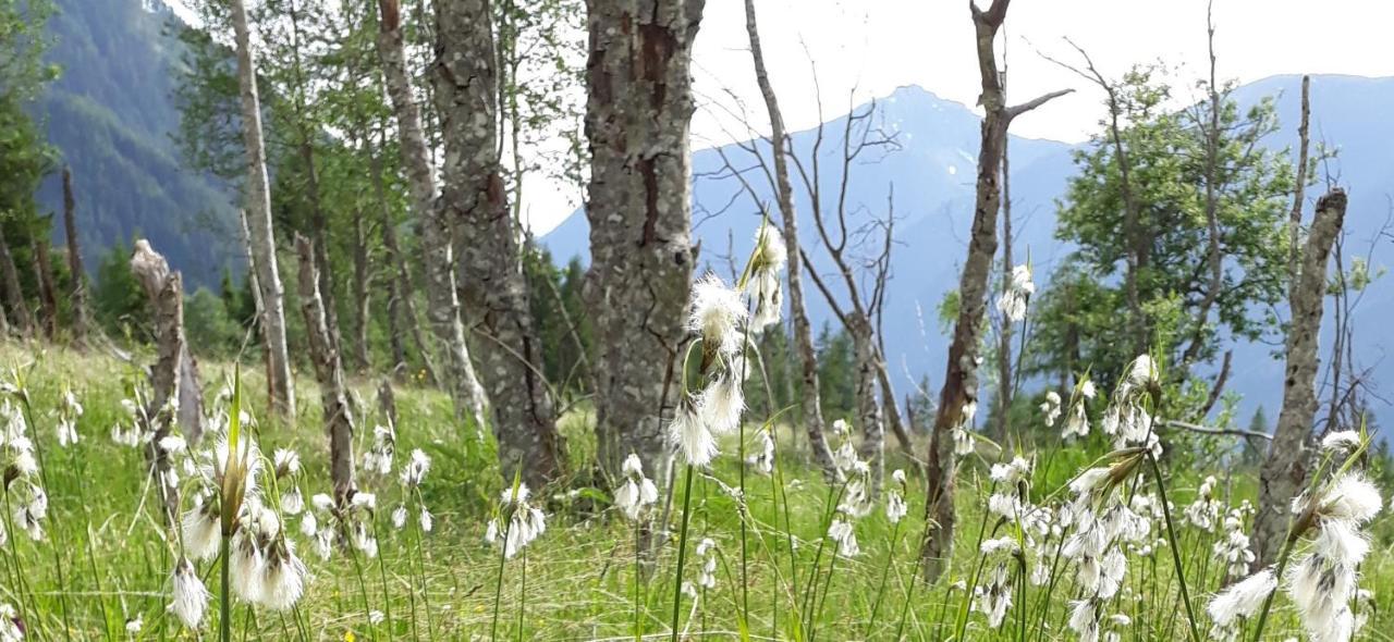 Unterreinischhof Villa Anterselva di Mezzo Bagian luar foto