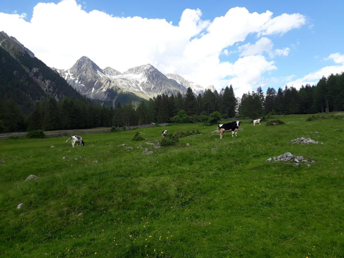 Unterreinischhof Villa Anterselva di Mezzo Bagian luar foto
