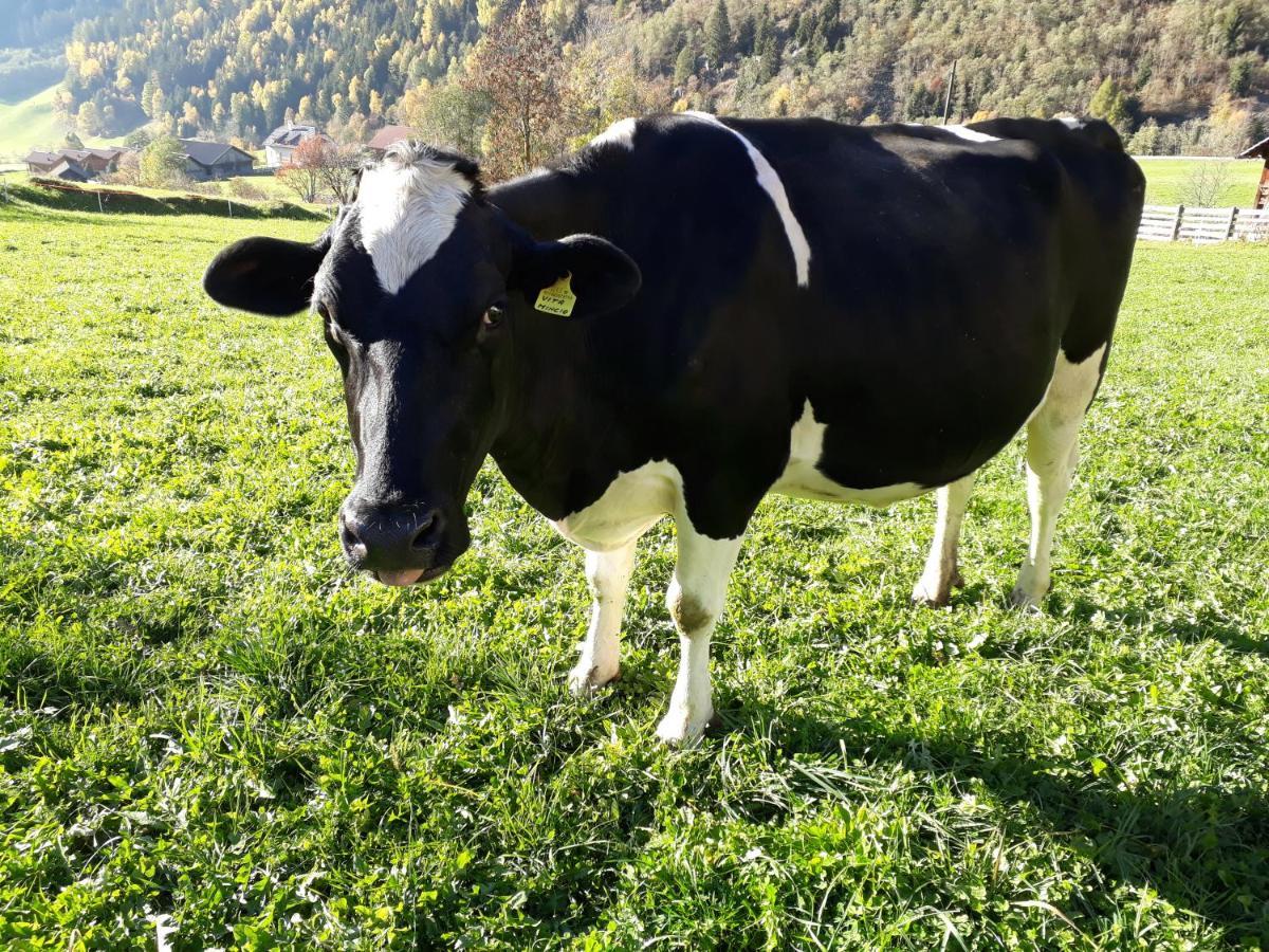 Unterreinischhof Villa Anterselva di Mezzo Bagian luar foto