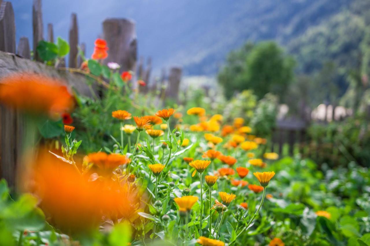 Unterreinischhof Villa Anterselva di Mezzo Bagian luar foto